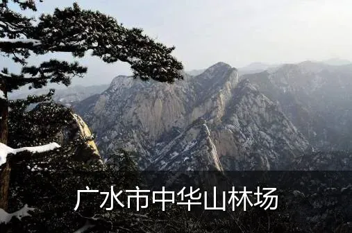 广水市中华山林场