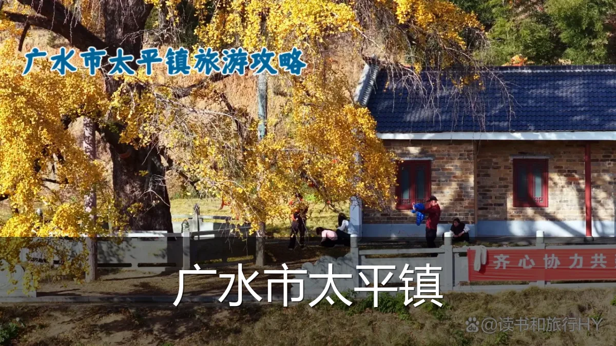 广水市太平镇